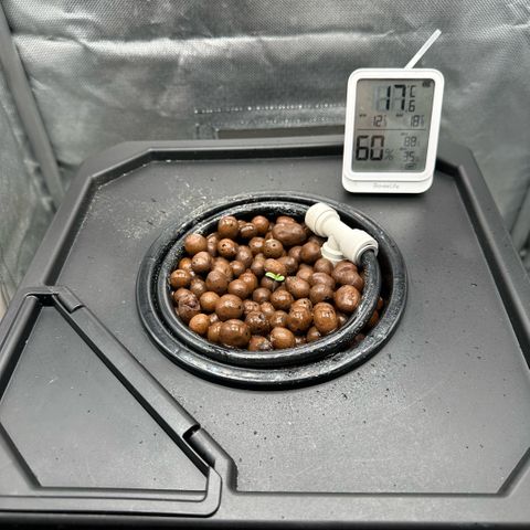 Geflügel und Feingebäck growlog timeline photo