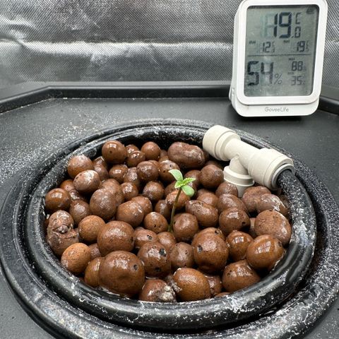 Geflügel und Feingebäck growlog timeline photo
