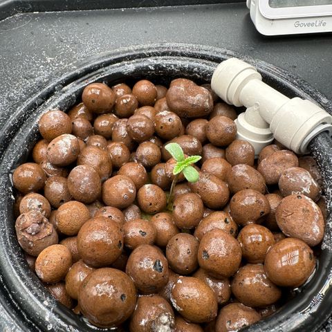 Geflügel und Feingebäck growlog timeline photo