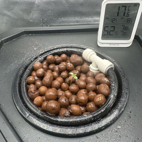 Geflügel und Feingebäck growlog timeline photo