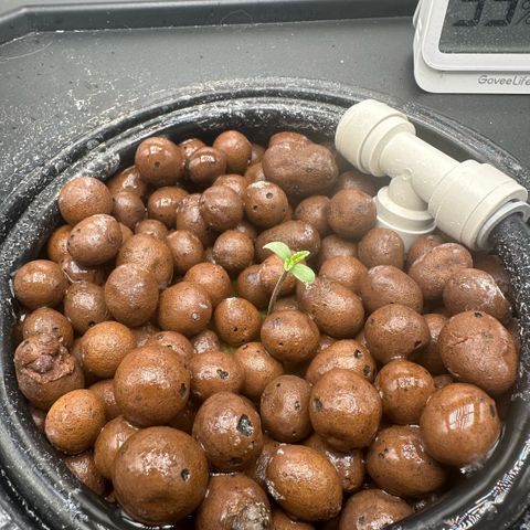 Geflügel und Feingebäck growlog timeline photo