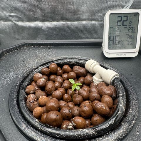 Geflügel und Feingebäck growlog timeline photo