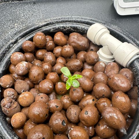 Geflügel und Feingebäck growlog timeline photo