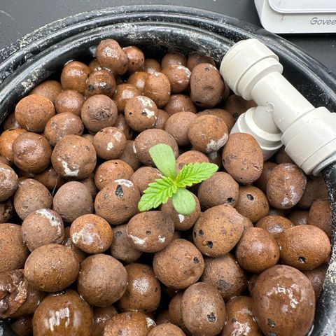 Geflügel und Feingebäck growlog timeline photo