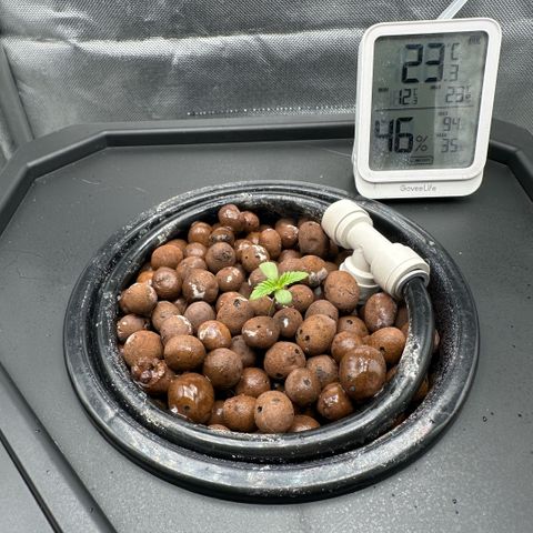 Geflügel und Feingebäck growlog timeline photo