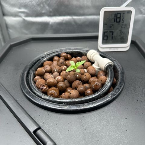 Geflügel und Feingebäck growlog timeline photo