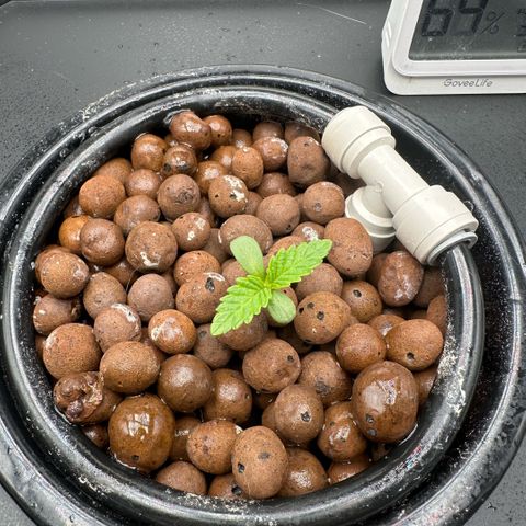 Geflügel und Feingebäck growlog timeline photo