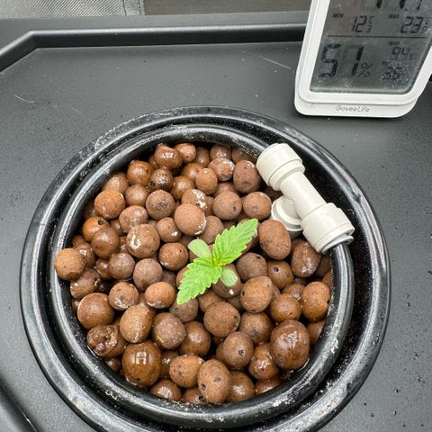 Geflügel und Feingebäck growlog timeline photo