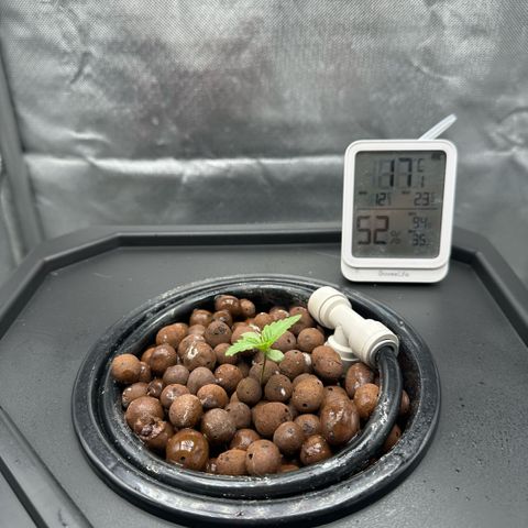 Geflügel und Feingebäck growlog timeline photo