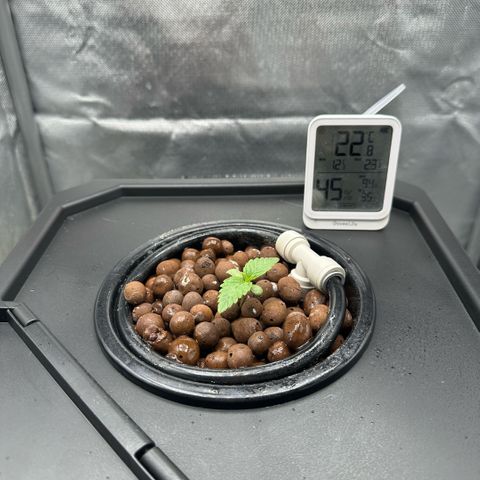 Geflügel und Feingebäck growlog timeline photo