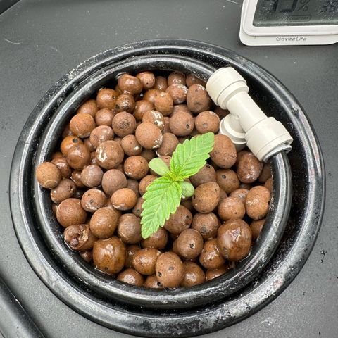 Geflügel und Feingebäck growlog timeline photo