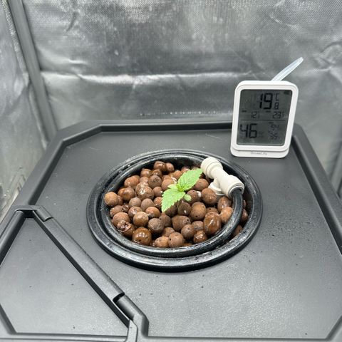 Geflügel und Feingebäck growlog timeline photo