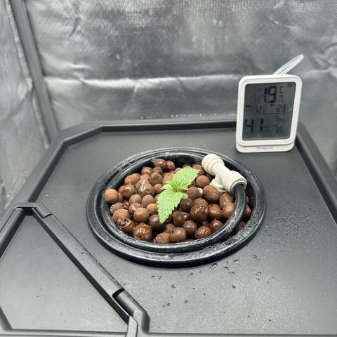 Geflügel und Feingebäck growlog timeline photo