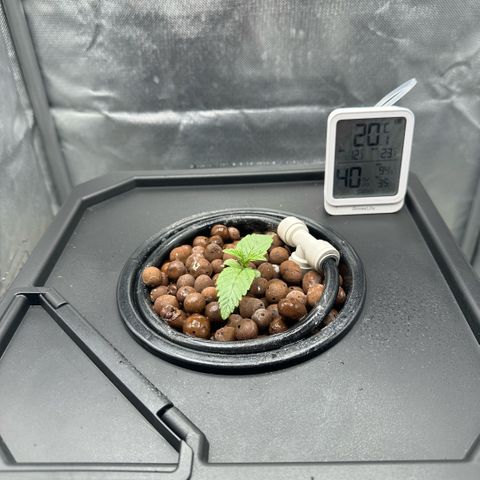 Geflügel und Feingebäck growlog timeline photo
