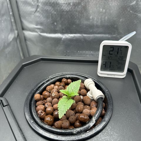 Geflügel und Feingebäck growlog timeline photo
