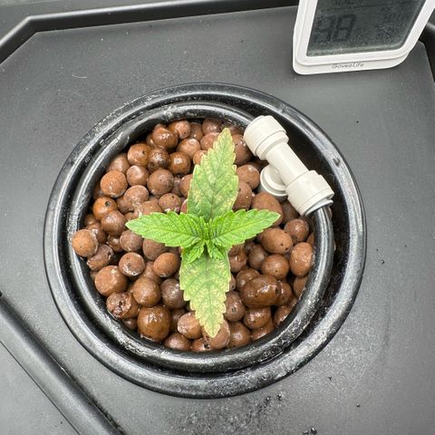 Geflügel und Feingebäck growlog timeline photo
