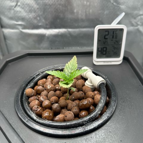 Geflügel und Feingebäck growlog timeline photo