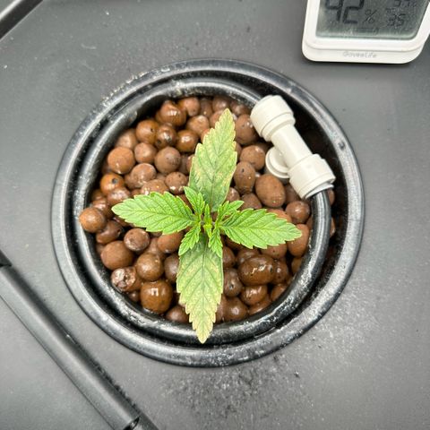 Geflügel und Feingebäck growlog timeline photo