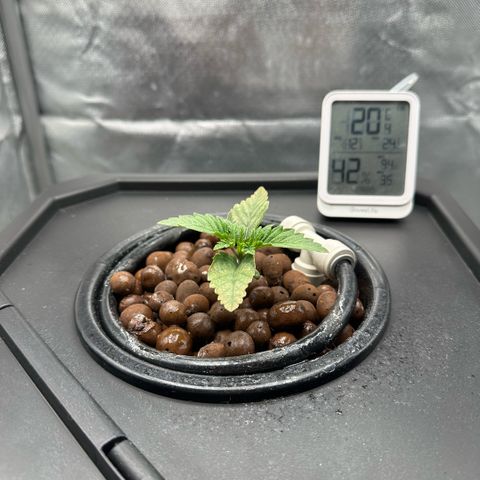 Geflügel und Feingebäck growlog timeline photo