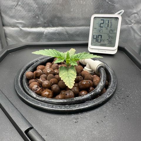 Geflügel und Feingebäck growlog timeline photo