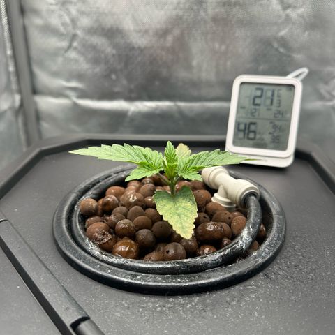 Geflügel und Feingebäck growlog timeline photo
