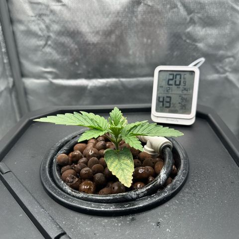 Geflügel und Feingebäck growlog timeline photo