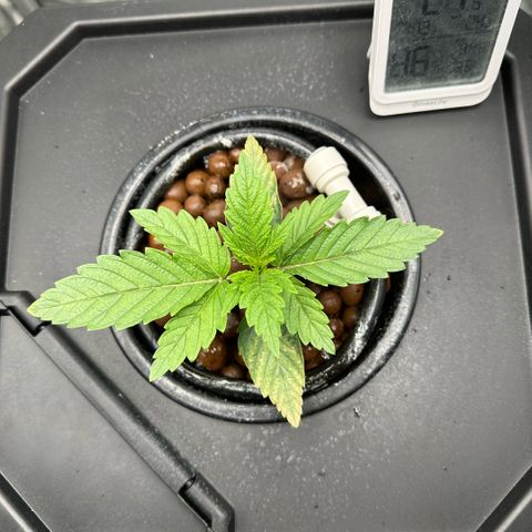 Geflügel und Feingebäck growlog timeline photo