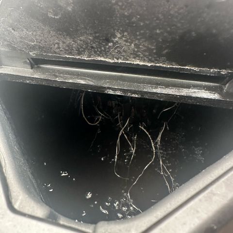 Geflügel und Feingebäck growlog timeline photo