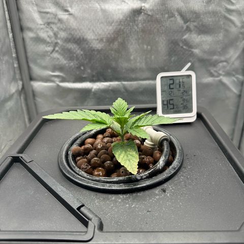 Geflügel und Feingebäck growlog timeline photo