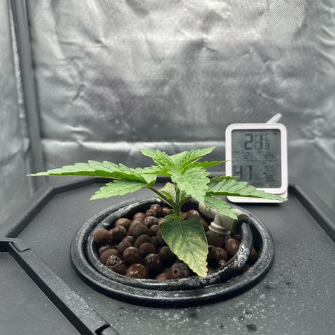 Geflügel und Feingebäck growlog timeline photo