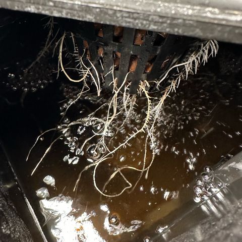 Geflügel und Feingebäck growlog timeline photo