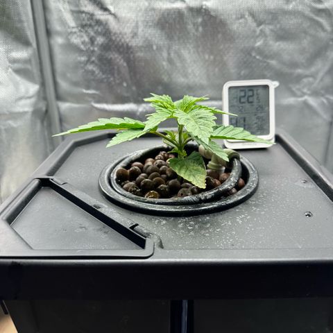 Geflügel und Feingebäck growlog timeline photo