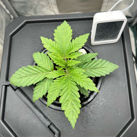 Geflügel und Feingebäck growlog timeline photo