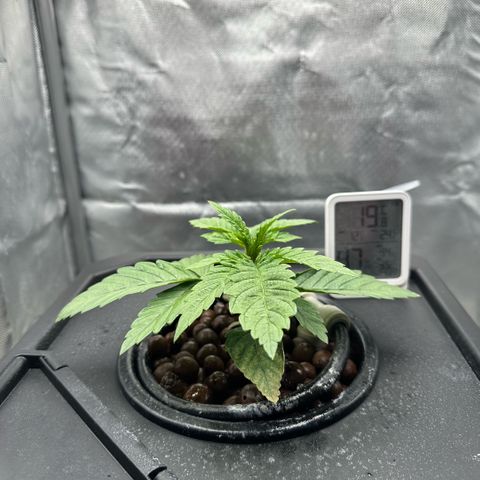 Geflügel und Feingebäck growlog timeline photo