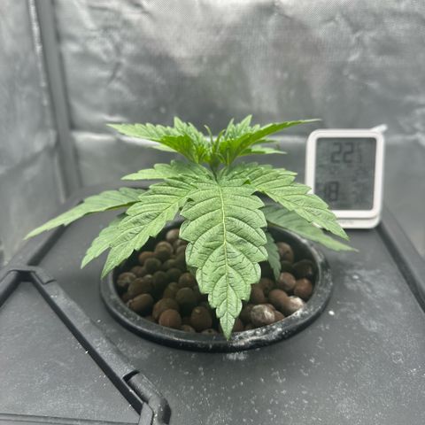 Geflügel und Feingebäck growlog timeline photo