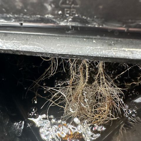Geflügel und Feingebäck growlog timeline photo