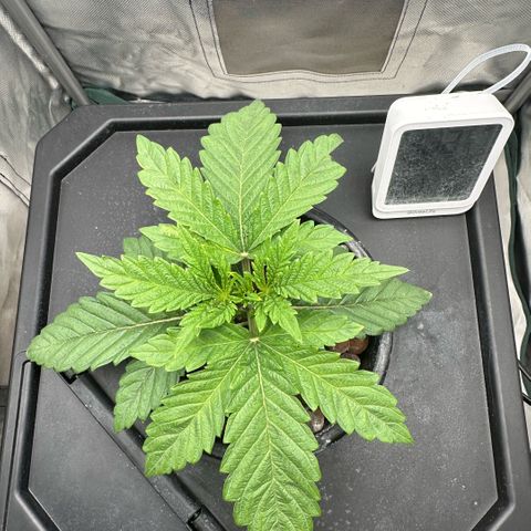 Geflügel und Feingebäck growlog timeline photo