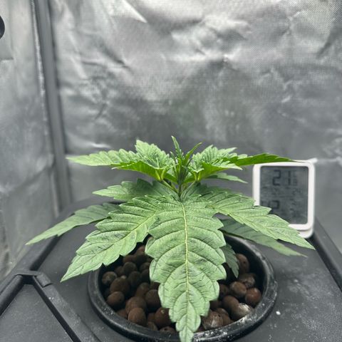 Geflügel und Feingebäck growlog timeline photo