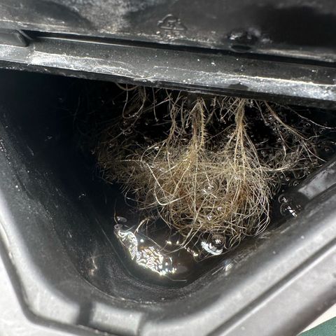 Geflügel und Feingebäck growlog timeline photo