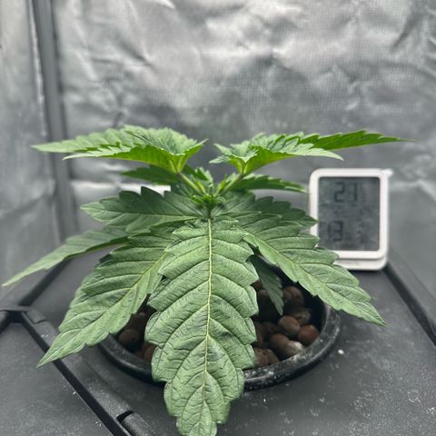 Geflügel und Feingebäck growlog timeline photo