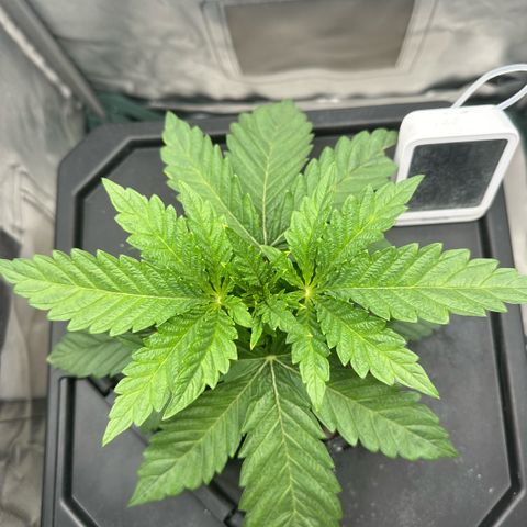 Geflügel und Feingebäck growlog timeline photo