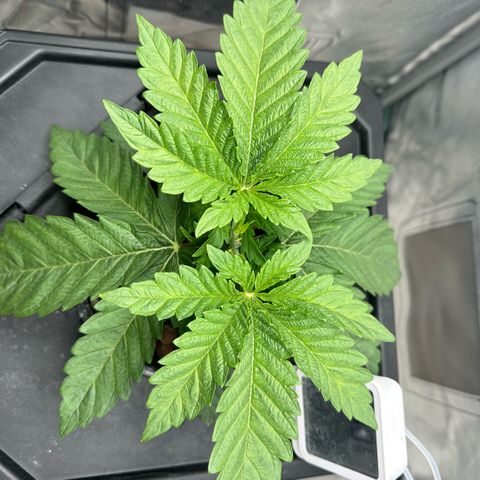 Geflügel und Feingebäck growlog timeline photo