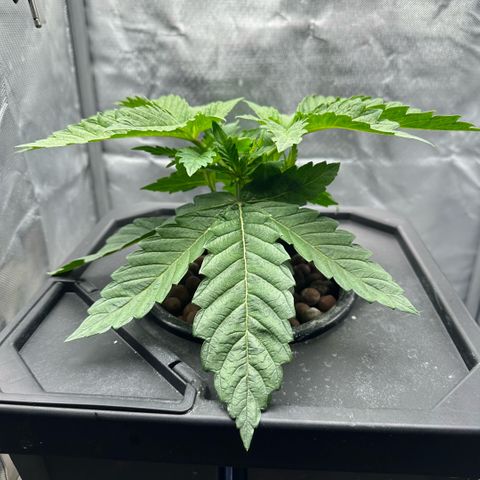 Geflügel und Feingebäck growlog timeline photo