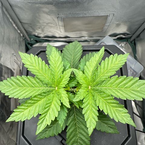 Geflügel und Feingebäck growlog timeline photo
