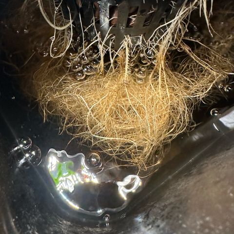 Geflügel und Feingebäck growlog timeline photo
