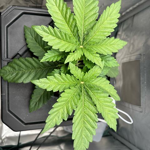 Geflügel und Feingebäck growlog timeline photo
