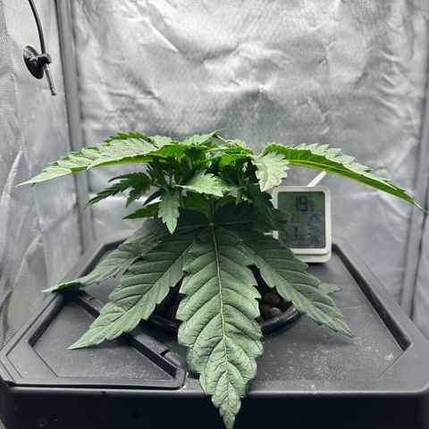 Geflügel und Feingebäck growlog timeline photo