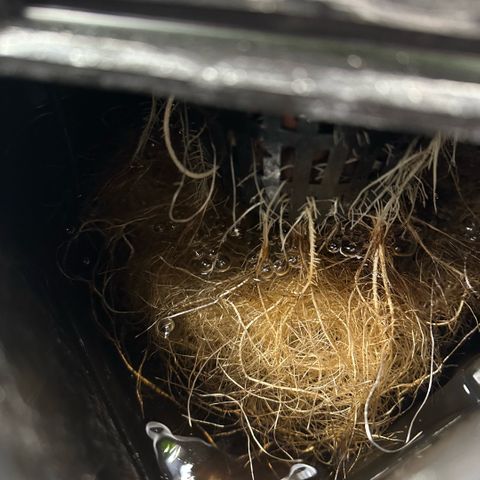 Geflügel und Feingebäck growlog timeline photo