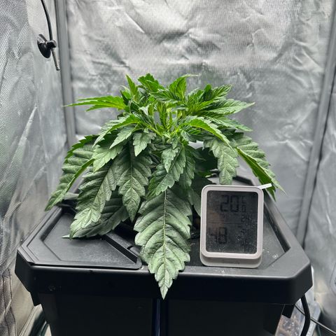Geflügel und Feingebäck growlog timeline photo