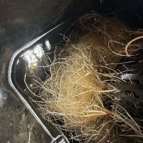 Geflügel und Feingebäck growlog timeline photo